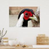 Silver Pheasants ポスター (キッチン)