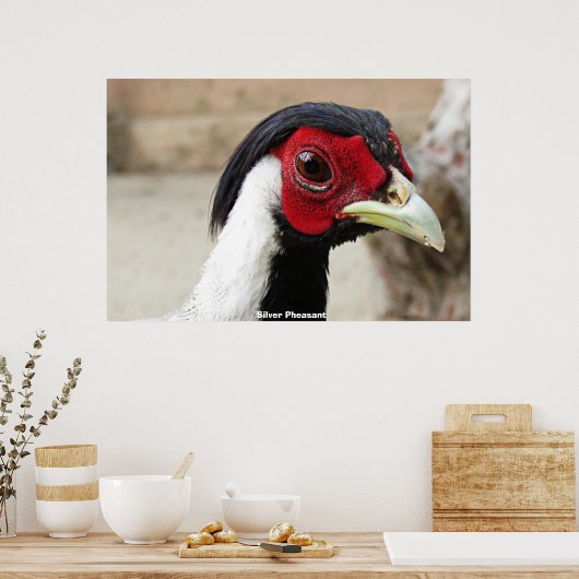 Silver Pheasants ポスター (キッチン)