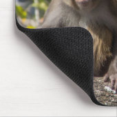 Silver Springs猿 マウスパッド (コーナー)