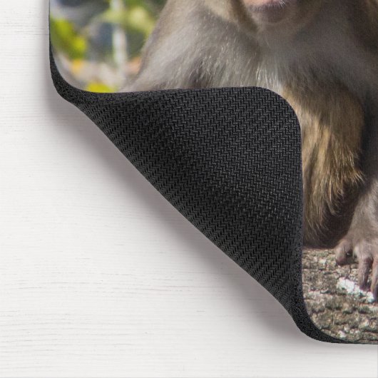 Silver Springs猿 マウスパッド (コーナー)