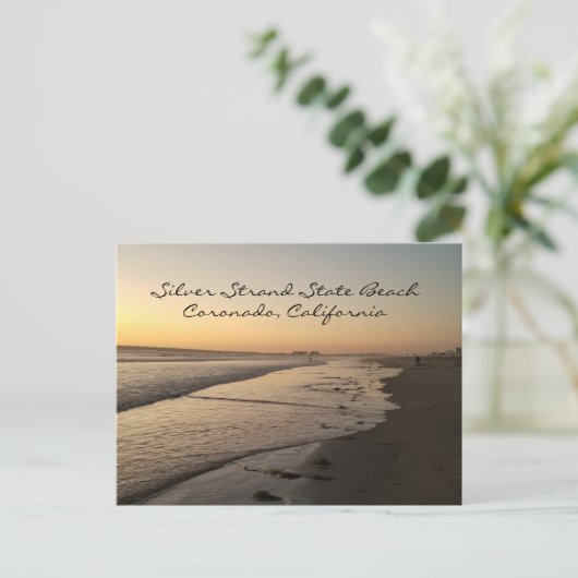 Silver Strand State Beach, Coronado CA Postcard ポストカード (スタンド正面)