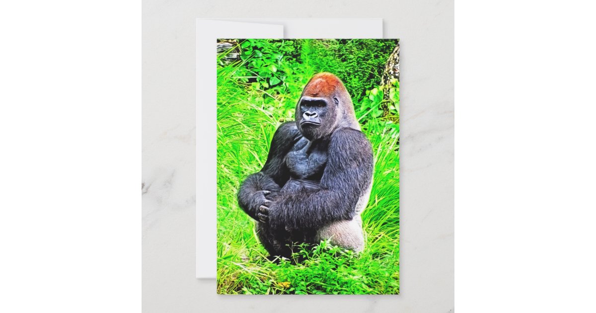 Silverbackのゴリラの写真の絵画 招待状 Zazzle Co Jp