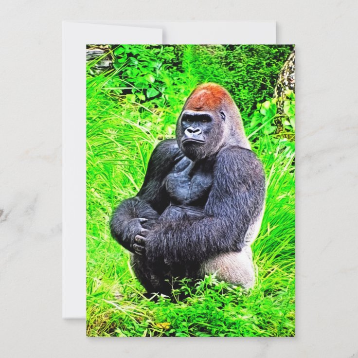 Silverbackのゴリラの写真の絵画 招待状 Zazzle Co Jp