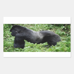 Silverbackのゴリラの写真のステッカー 長方形シール