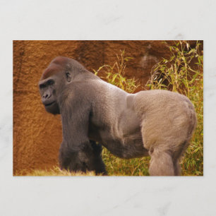 Silverbackのゴリラの写真の招待状 招待状