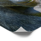 Silverback Close-Up ポスター (角)