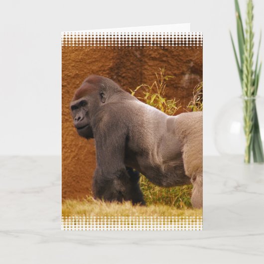 Silverback Gorillaフォトグリーティングカード カード (正面)