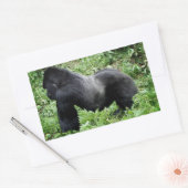 Silverback gorilla写真シール 長方形シール (封筒)