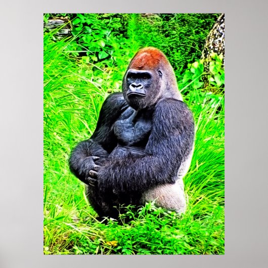 Silverback Gorilla写真絵画ズ ポスター (正面)