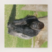 Silverback Gorilla – A Moment of Power ジグソーパズル (横)