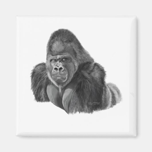 Silverback Gorilla Magnet ゴリラのマグネット マグネット (正面)