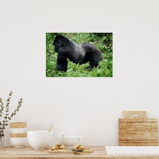 Silverback gorilla poster print ポスター (キッチン)