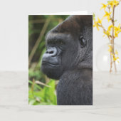 Silverback Lowland Gorilla、Gorillaの捕虜 カード (黄色い花)