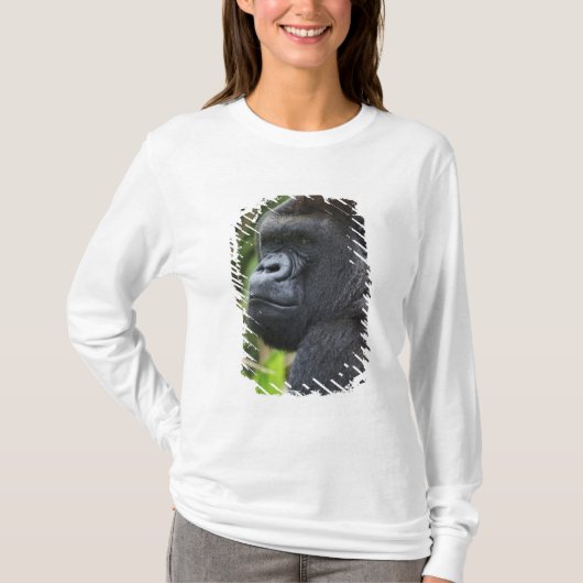 Silverback Lowland Gorilla、Gorillaの捕虜 Tシャツ (正面)