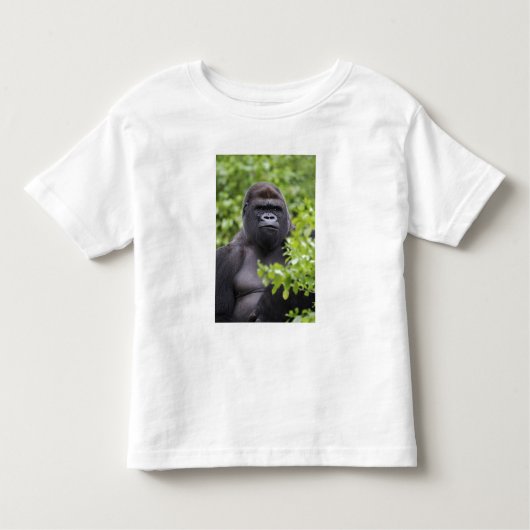Silverback Lowland Gorilla、Gorilla gorilla、 トドラーTシャツ (正面)