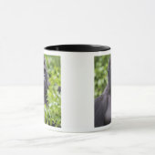 Silverback Lowland Gorilla、Gorilla gorilla、 マグカップ (中央)