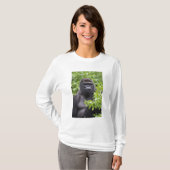 Silverback Lowland Gorilla、Gorilla gorilla、 Tシャツ (正面フル)