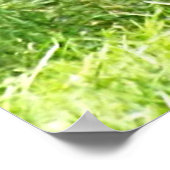 Silverback Male Lowland Gorilla Standing Up ポスター (角)