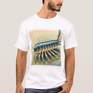 Silverfish in Natural Habitat 200824IREF221 - Wate Tシャツ