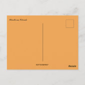 Silverthorne Colorado ポストカード (裏面)