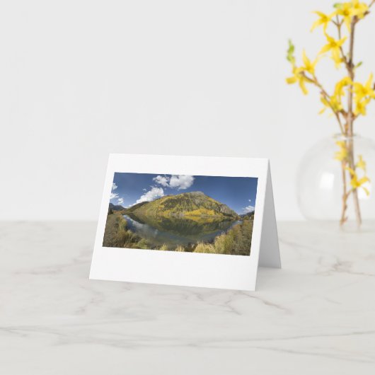 silvertonへの550 カード (黄色い花)