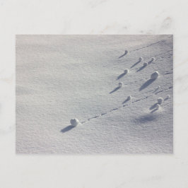 Simon Says CC0077ポストカード ポストカード