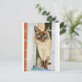 Simone at the Window （シャム語） ポストカード (スタンド正面)