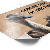 Simpática avestruz フォトプリント            (角)