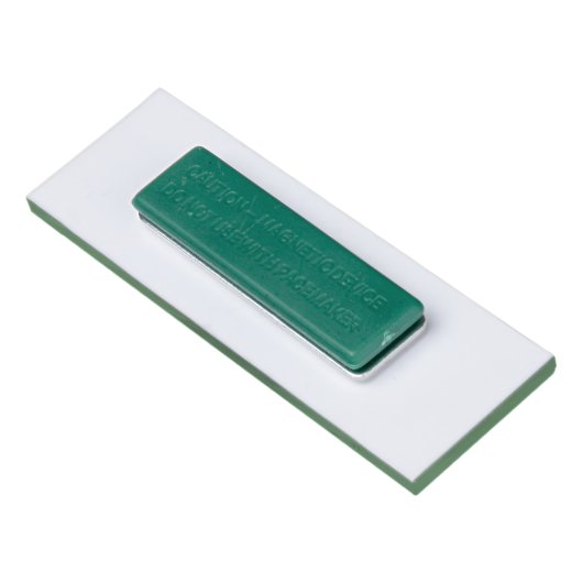 Simple Basic Bright Green Minimal Modern Title 名札 (裏面)