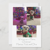 Simple Bold Christmas Card 招待状 (裏面)