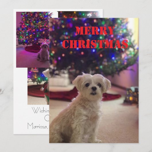 Simple Bold Christmas Card 招待状 (正面/裏面)