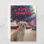 Simple Bold Happy Holidays Card 招待状 (正面)
