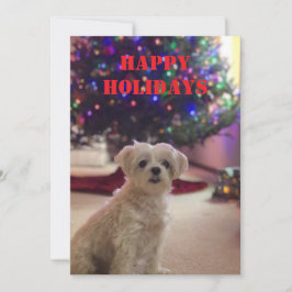 Simple Bold Happy Holidays Card 招待状