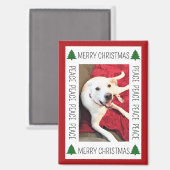 Simple Christmas Photo Frame of Funny Smiling Dog マグネット (正面/裏面)