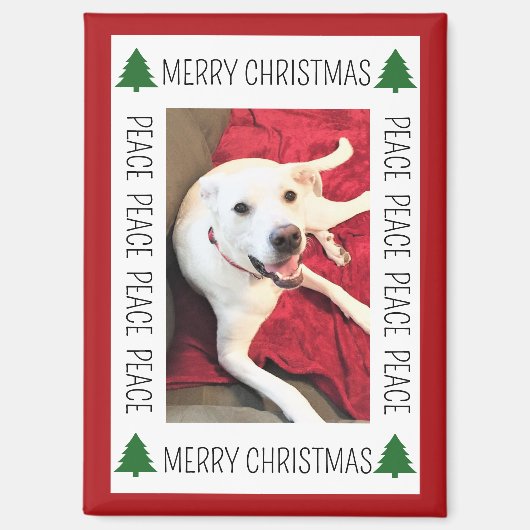 Simple Christmas Photo Frame of Funny Smiling Dog マグネット (正面)