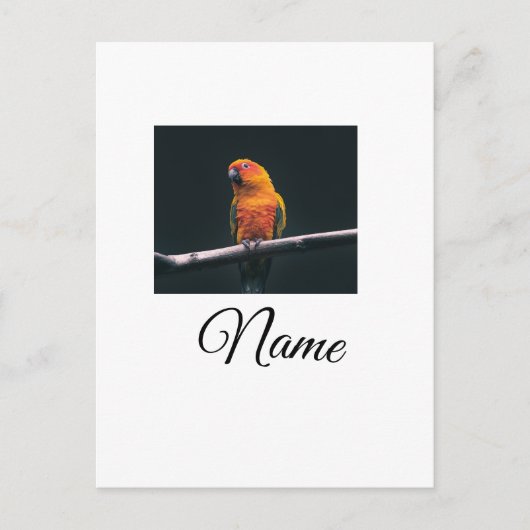 Simple colorful animal add name photo custom throw ポストカード (正面)
