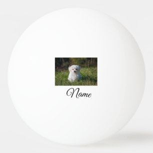 Simple colorful animal add name photo custom throw 卓球ボール