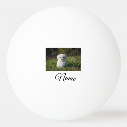 Simple colorful animal add name photo custom throw 卓球ボール (正面)