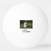 Simple colorful animal add name photo custom throw 卓球ボール (裏面)