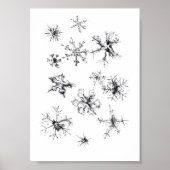 Simple Delicate Snowflakes ポスター (正面)