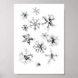 Simple Delicate Snowflakes ポスター