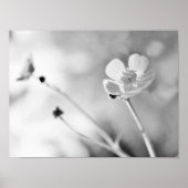 Simple Flower Black and White ポスター (正面)