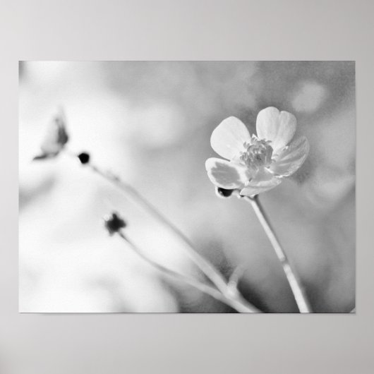 Simple Flower Black and White ポスター (正面)
