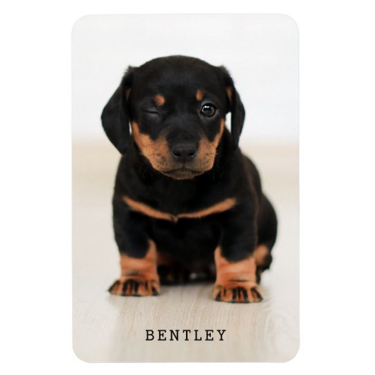 Simple Modern Full Photo Dog Pet | Black マグネット (縦)