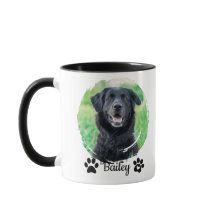 Simple Modern Pet Photo Name 