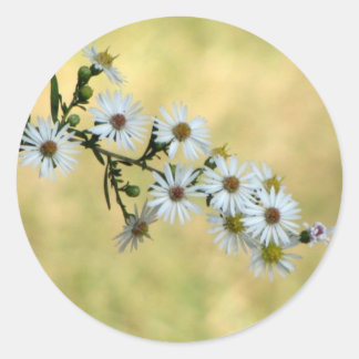 SimpleDelightスタンプ ラウンドシール