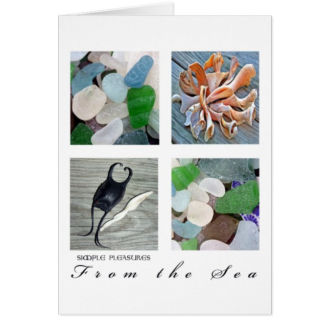 SimplePleasuresFrom海 (正面)