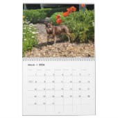 Simply Dogs calendar カレンダー (3月 2026)