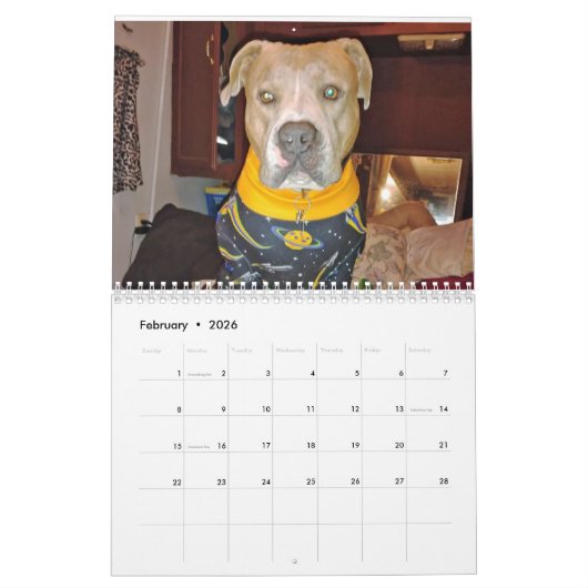 Simply Dogs calendar カレンダー (2月 2026)