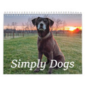 Simply Dogs calendar カレンダー (カバー)